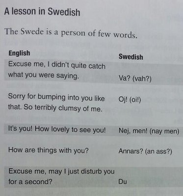 Lesson-in-swedish.jpg